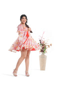 Gulabo Roop Set - The Dress  🌸⚡